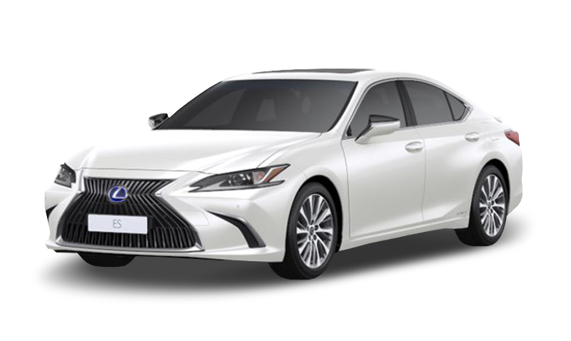 소닉 쿼츠 익스테리어